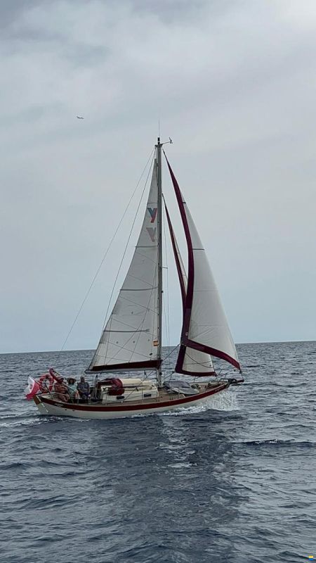 Frances 26 Bermudian Cutter