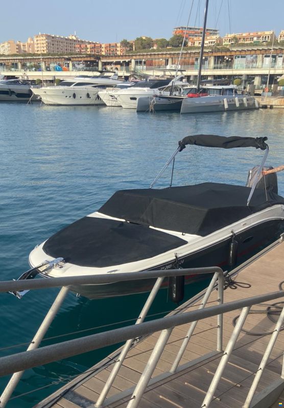 Sea Ray SPX 230 OB