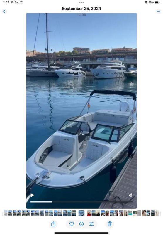 Sea Ray SPX 230 OB
