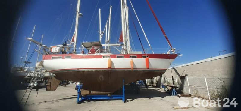 Wauquiez Amphitrite 43