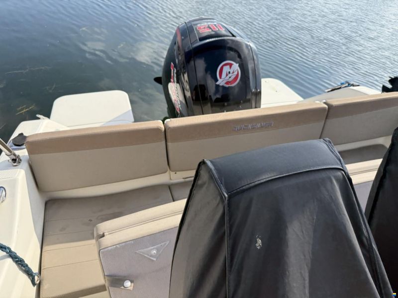 Quicksilver Activ 555 Open med Mercury 115 ProXS (20