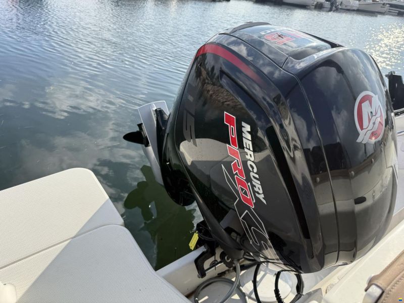 Quicksilver Activ 555 Open med Mercury 115 ProXS (20