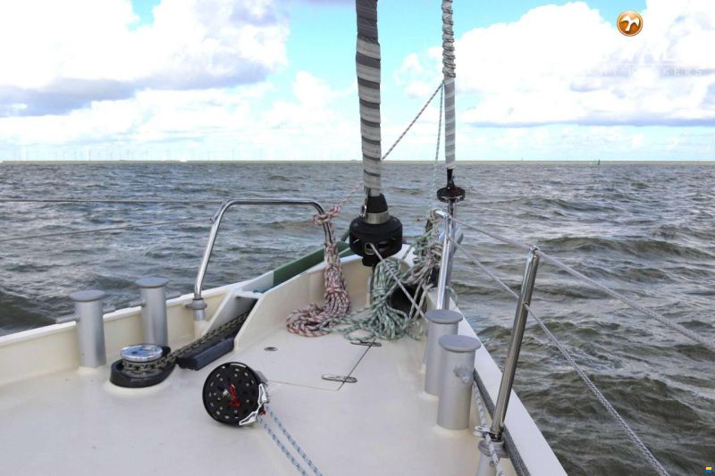 Aluyacht 49