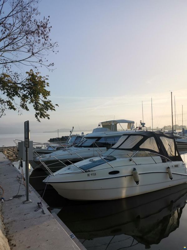 Sealine S23