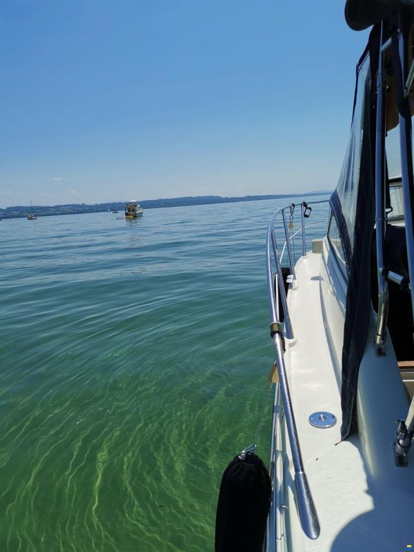 Sealine S23