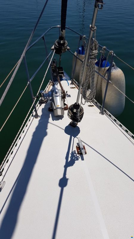 Ta Chiao Princess 38