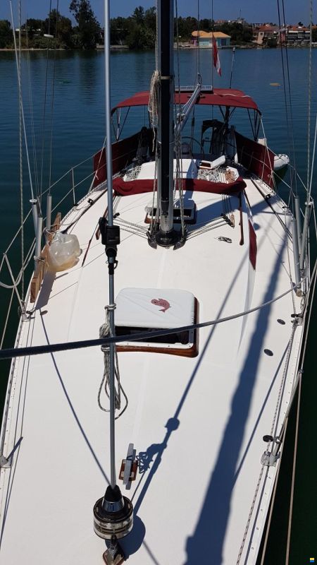 Ta Chiao Princess 38