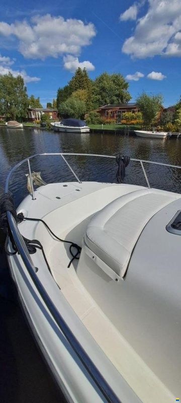Shamrock 246 Adventure Kajuitboot