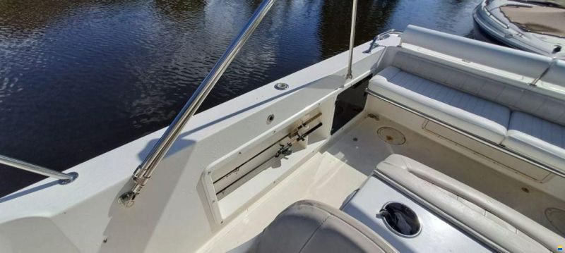 Shamrock 246 Adventure Kajuitboot