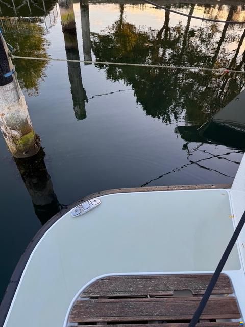 Sargo 36 Fly