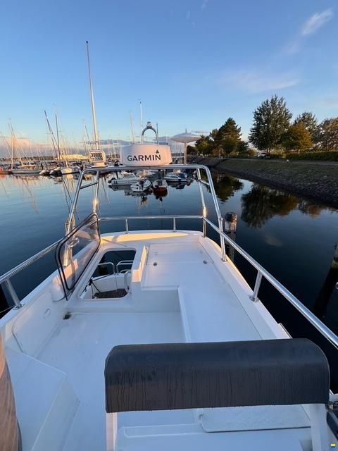 Sargo 36 Fly