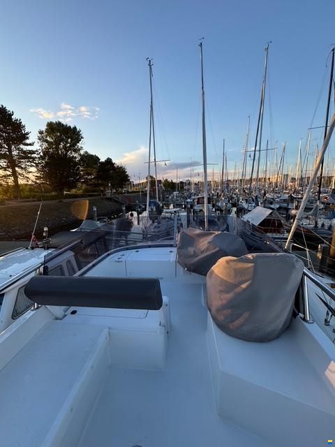 Sargo 36 Fly
