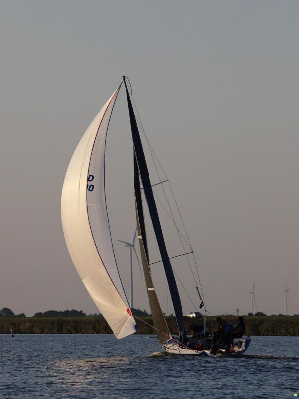 Pro 25