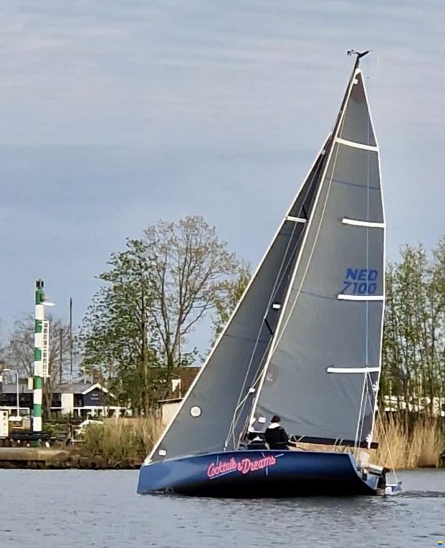 Pro 25