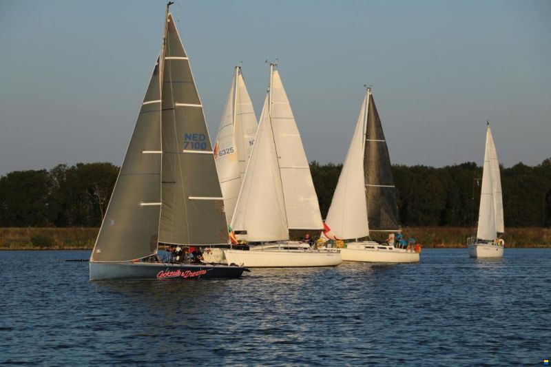Pro 25