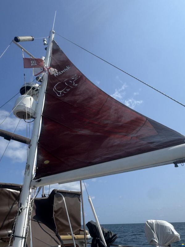 AMS Trawler 40" AMS Klassik