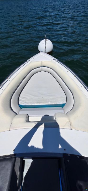 LARSON SENZA A 190