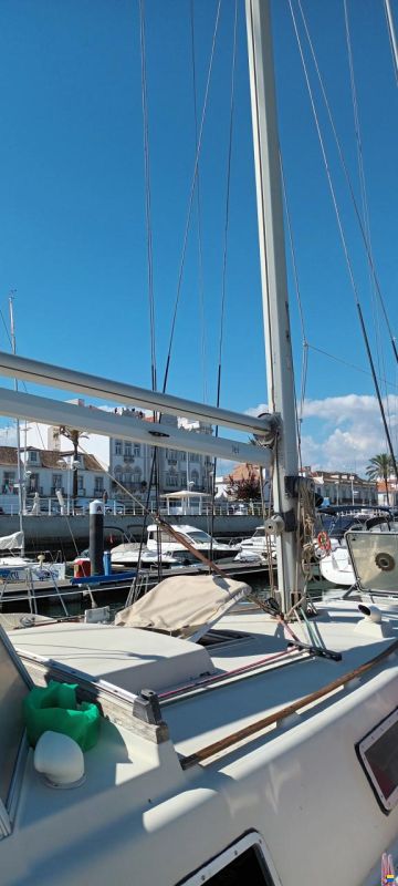 Beneteau YDILLE 11,50