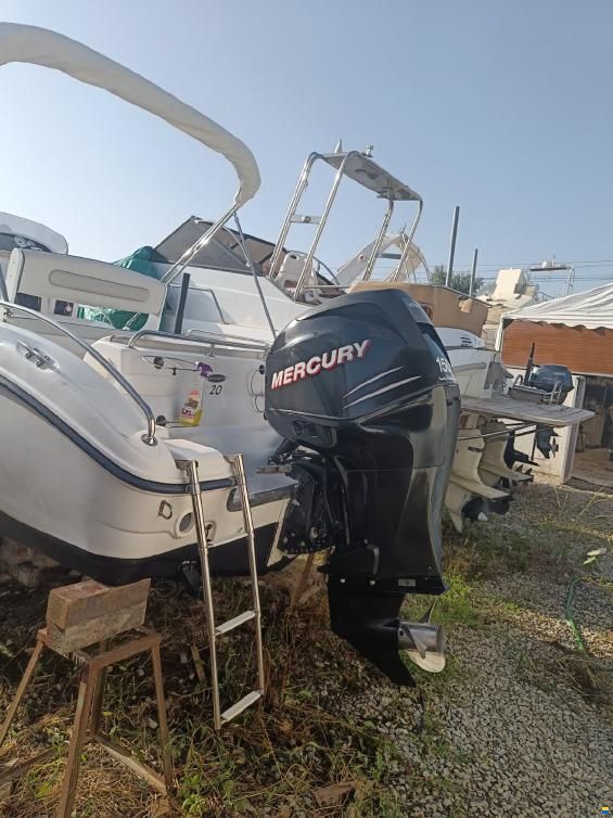 Ranieri Shadow 20 WA