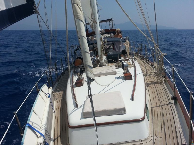 Formosa Peterson 46