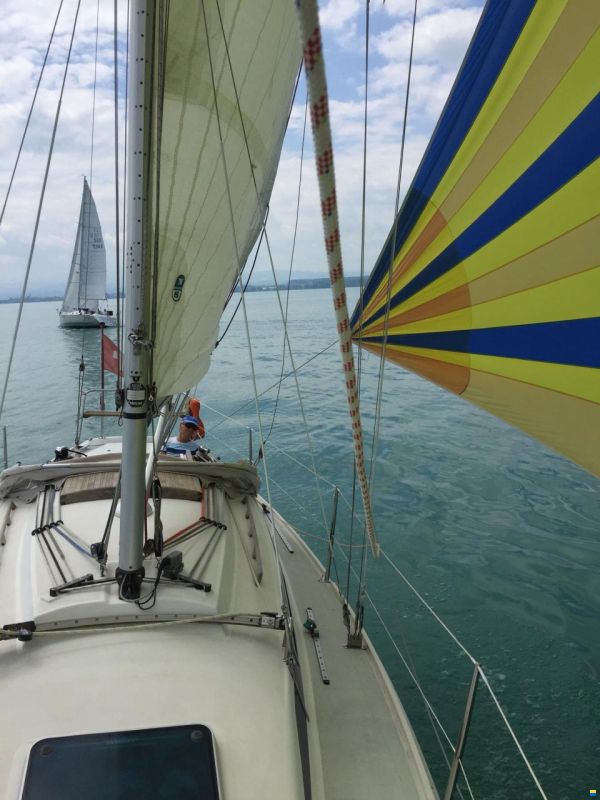 Artekno H35 Binnenrigg