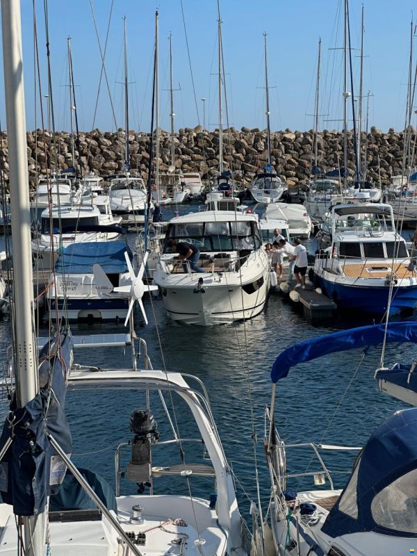 Sea Ray 320 Sundancer
