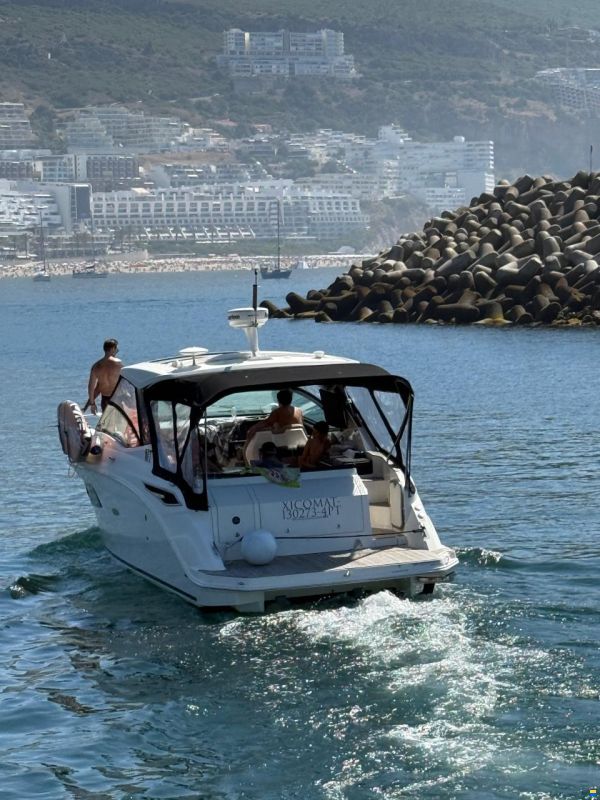 Sea Ray 320 Sundancer