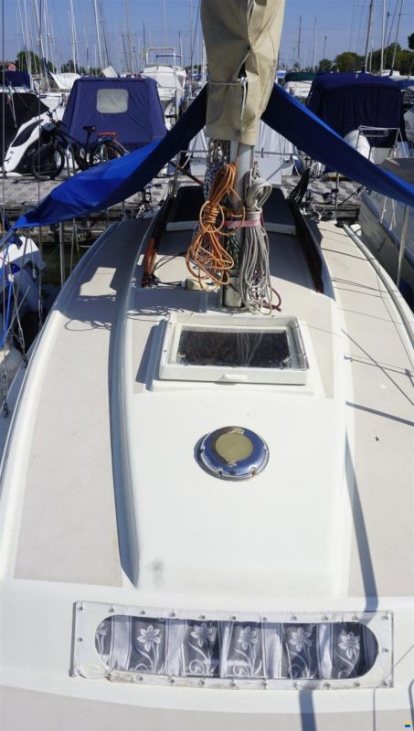 Neptun Neptun