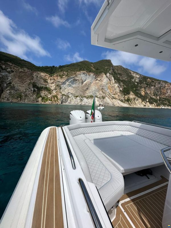 Salpa Soleil 33