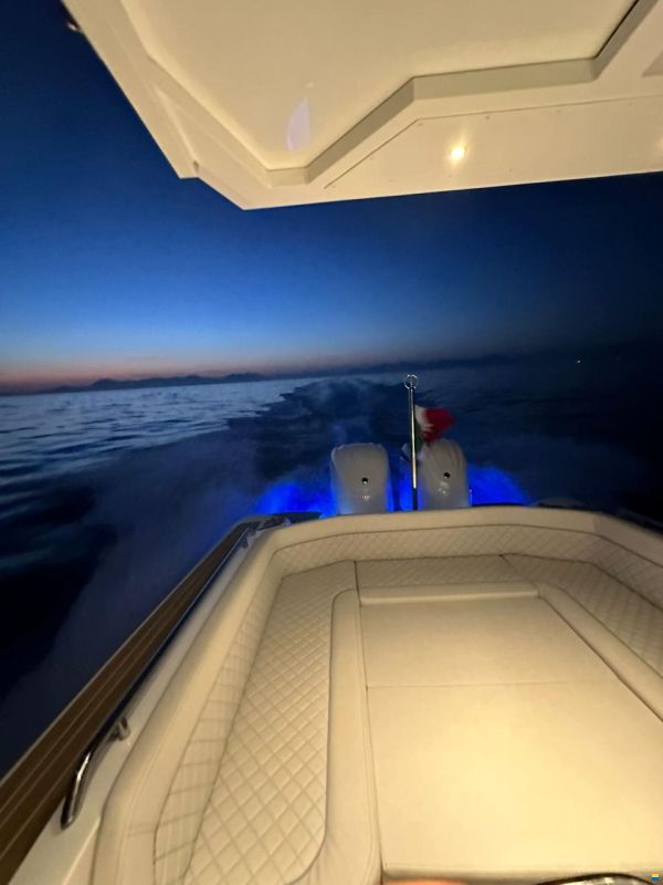 Salpa Soleil 33