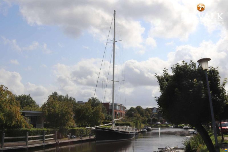 Puffin 50