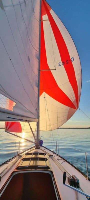 X-Yachts X 99