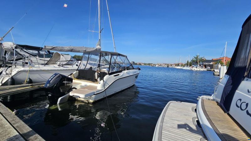 Quicksilver Activ 755 Cruiser