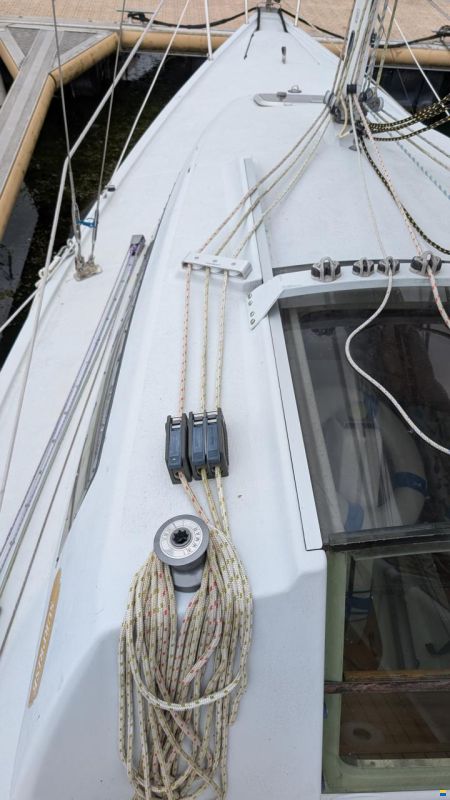 Archambault Surprise