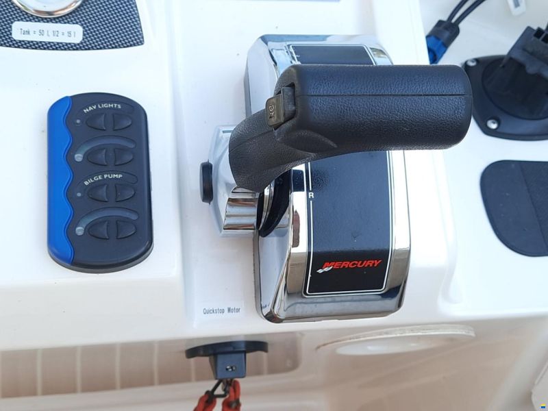 Mercury F60ELPT EFI