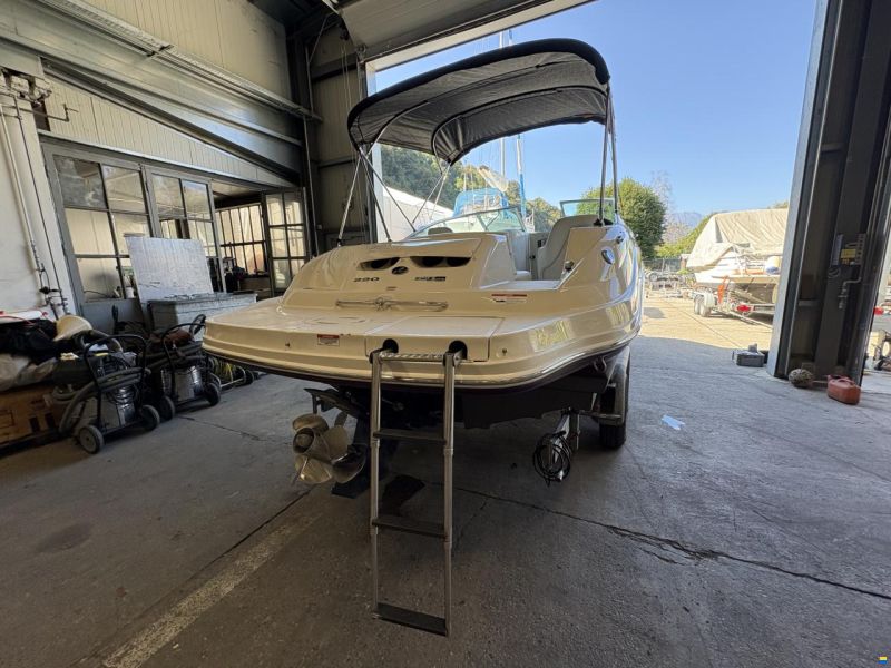Sea Ray 220 SunDeck