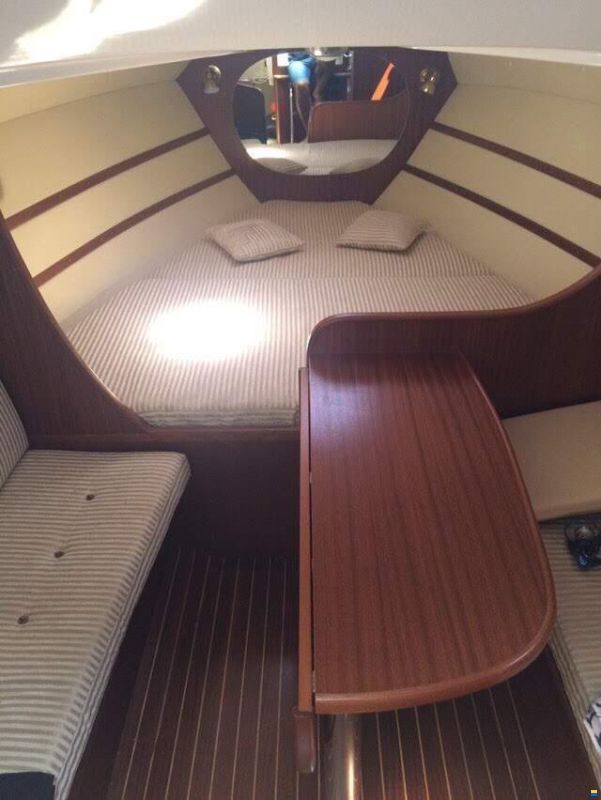 Sea Ray Gladiator