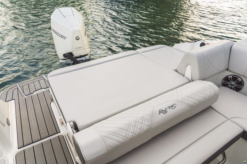 Sea Ray SDX 230 Outbaord Europe