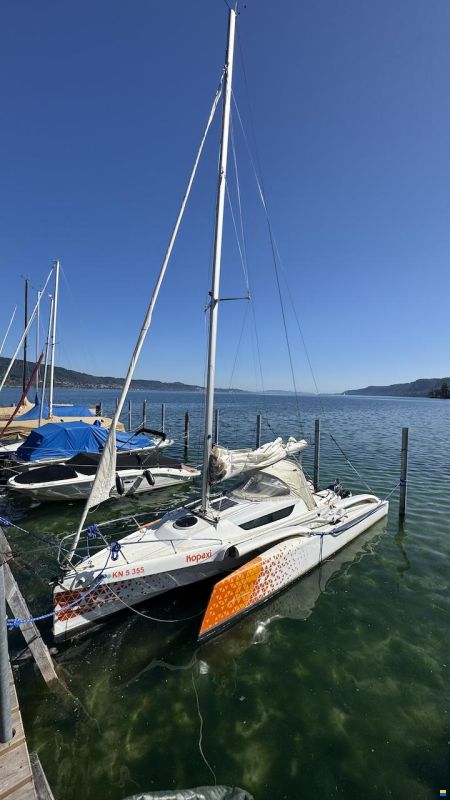 Dragonfly 25