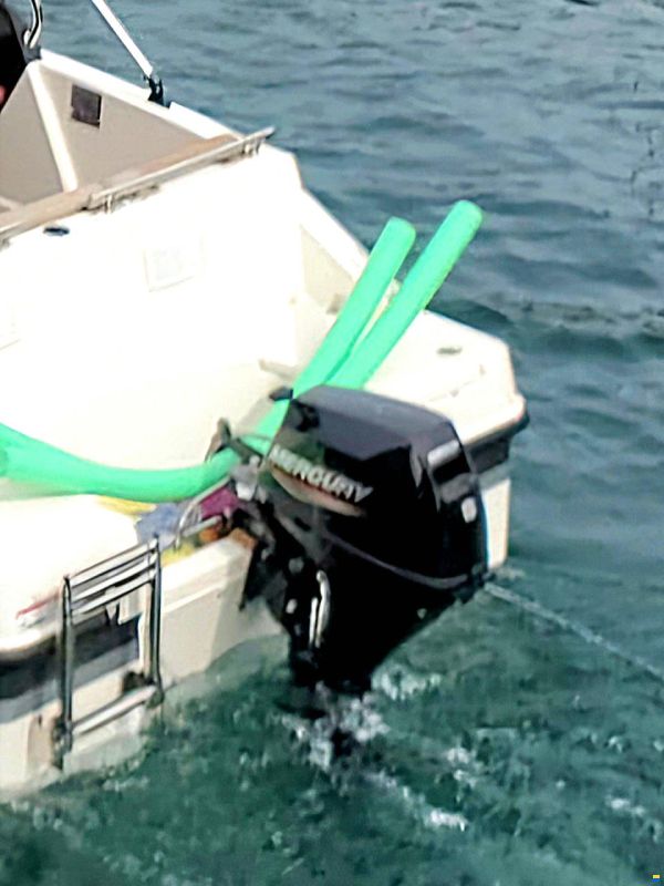 Quicksilver Activ 455 Open