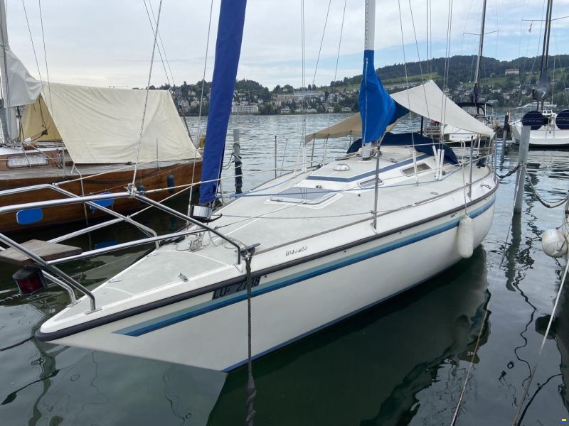 Granada 31