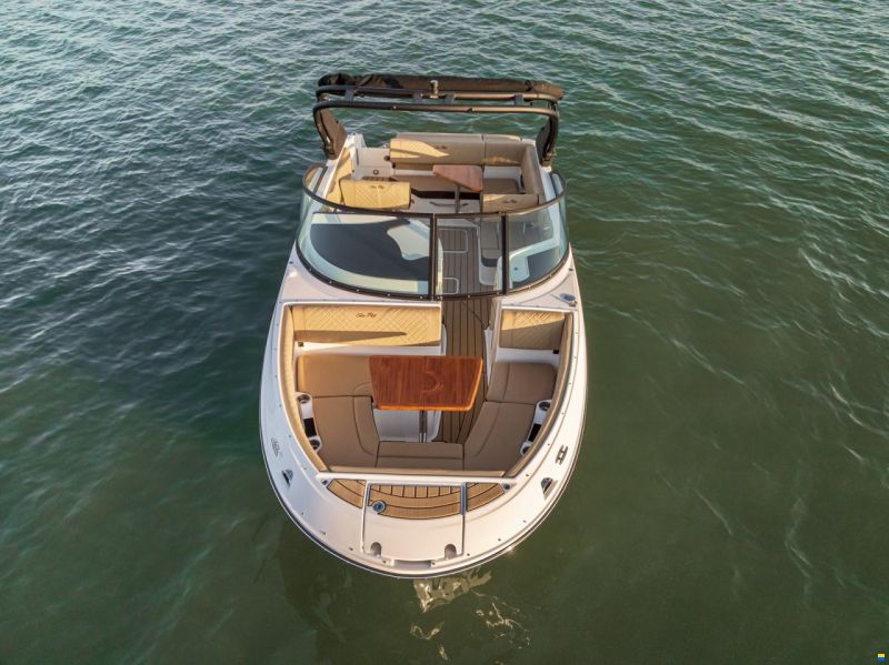 Sea Ray SDX 230