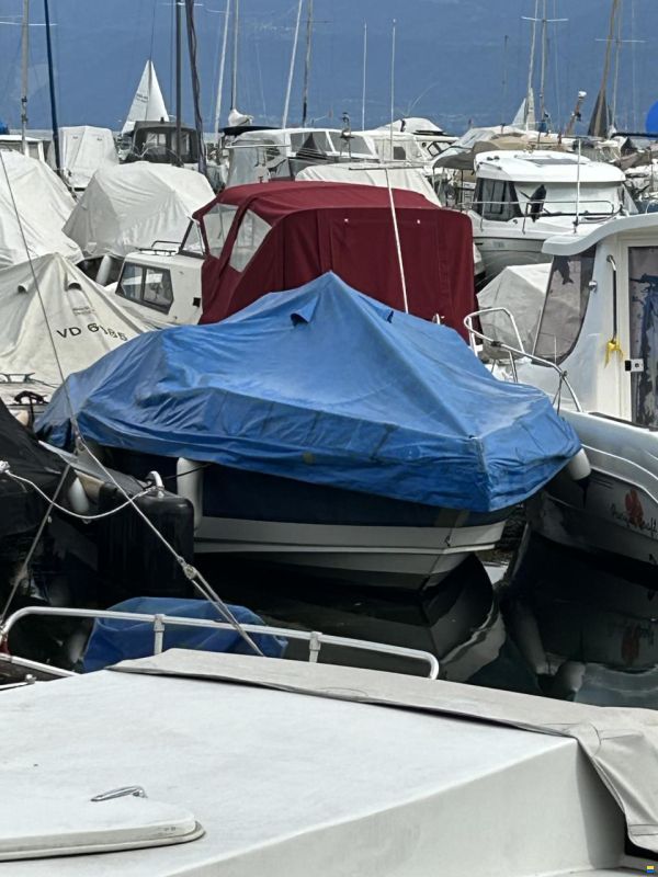 Regal Sebring 195 Cuddy