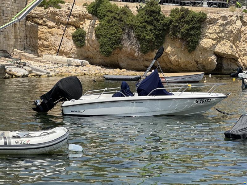 Boston Whaler Dauntless 180