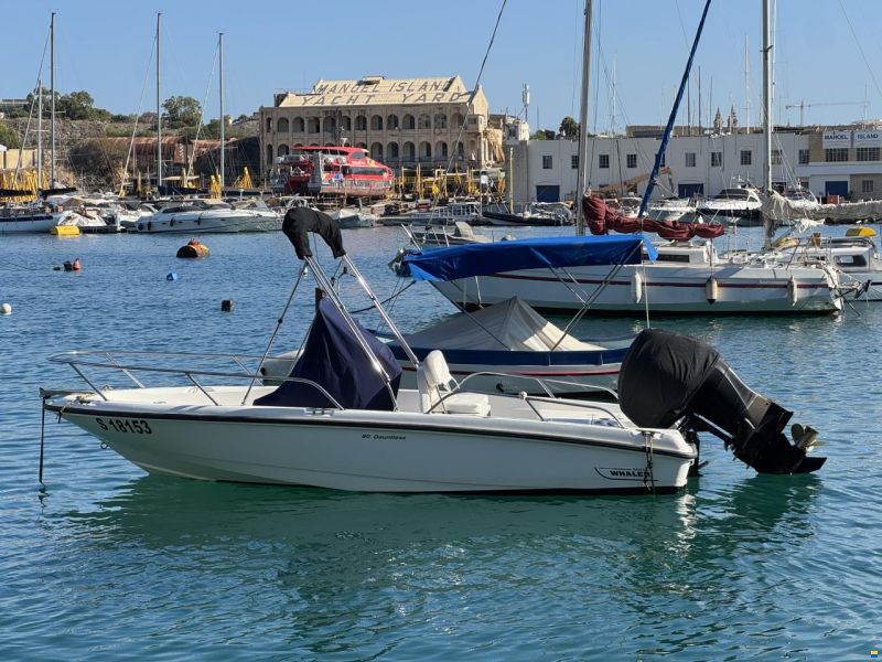 Boston Whaler Dauntless 180