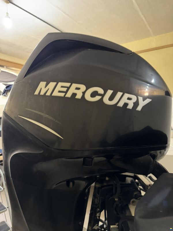Boston Whaler Dauntless 180