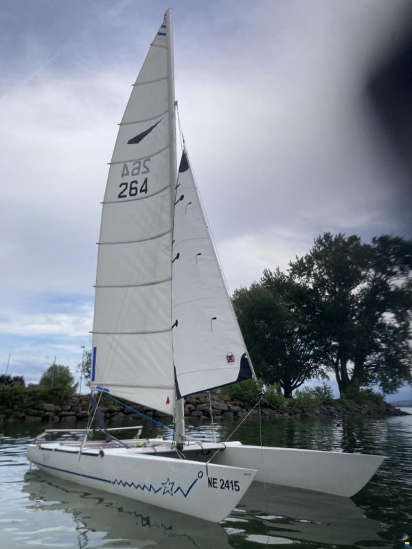 Panther Craft Dart 18