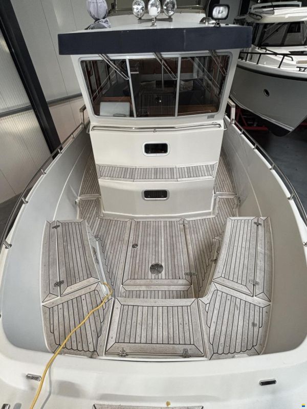 Targa 31