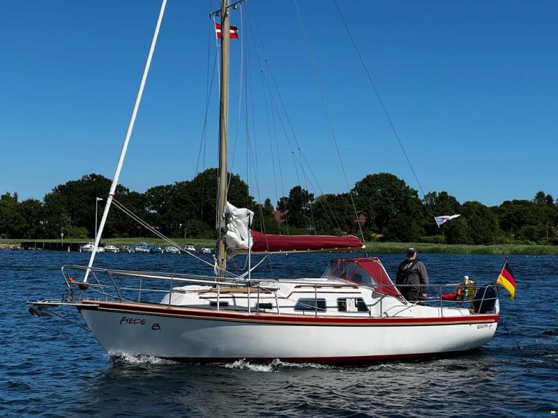 Fellowship 28