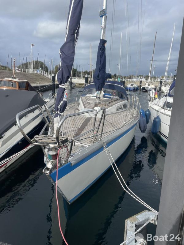 Hatecke Hornet 33